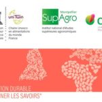 10e colloque annuel de la Chaire Unesco Alimentations du monde sur L'alimentation comme lien social