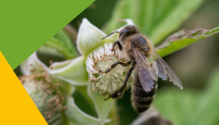 Formation : Acquérir les bases des enjeux climatiques en agriculture