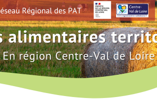 fond lettre d’info 2023
