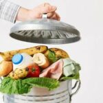 Conférence - Gaspillage alimentaire : comprendre ses causes et lutter contre les idées reçues