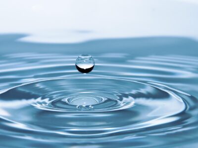 Demain, manger sans eau ?