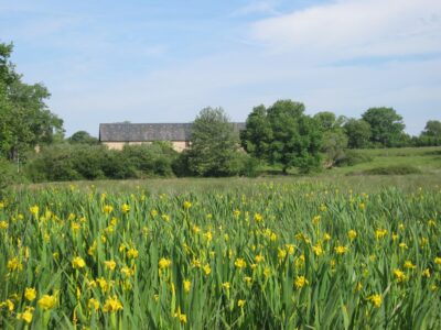 Osaé – une nouvelle interface pour le centre de ressources agroécologiques
