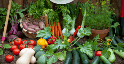 Etude – Quantifier les économies d’énergie possibles en restauration collective pour les collectivités