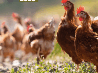 Statistiques – Mémento bio 2025