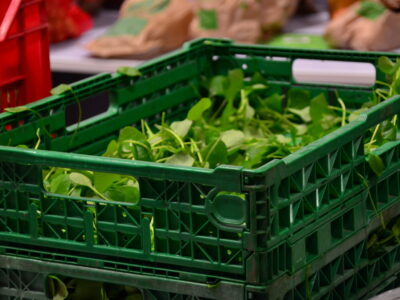 Outil – Jeu du pas en avant sur les inégalités alimentaires